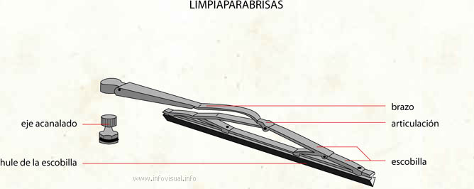 Limpiaparabrisas (Diccionario visual)